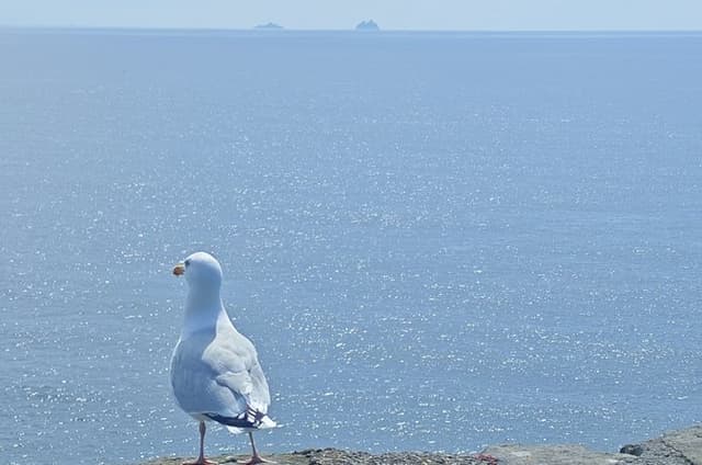 Dingle Peninsula & Slea Head Private Day Tour