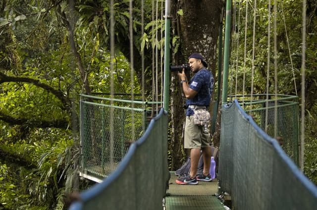 Tenorio Rainforest Hanging Bridges, waterfall and Sloth Encounter