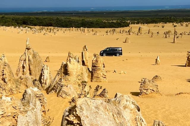 Small group 4WD Pinnacles Desert & Sand Boarding Adventure