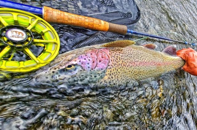 Private Kenai River Fly Fishing Activity