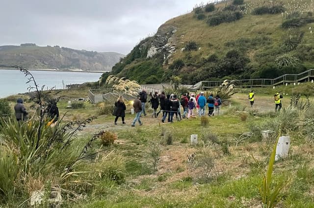Behind The Scenes + Blue Penguins Pukekura Experience Tour