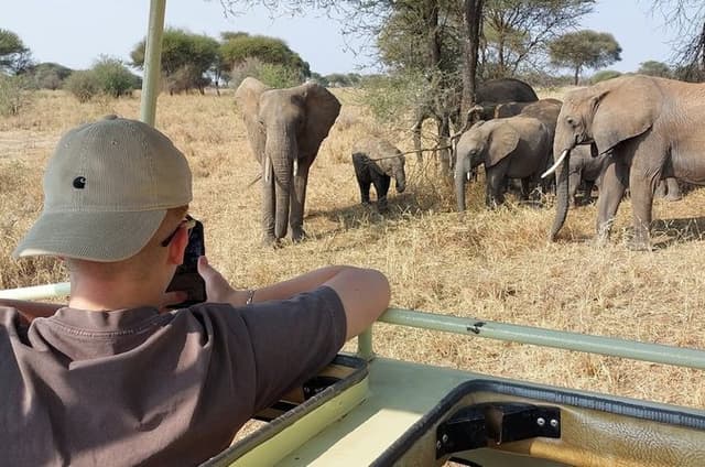 Shared Guided 6 Day Car Tour on Tanzania