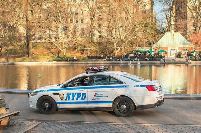 Central Park: Scandal & Vice Walking Tour