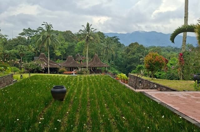 Coffee Plantation Tour at MesaStila Resort from Semarang
