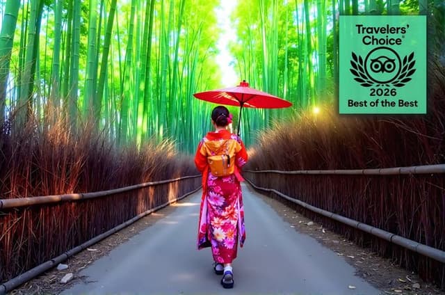 Ultimate Kyoto Arashiyama Tour: Bamboo, Monkeys & Hidden Gardens