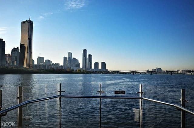 Seoul Hangang River Sightseeing Cruise Experience