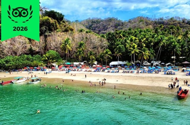 Turtle Island, from Puntarenas, snorkeling and lunch included!