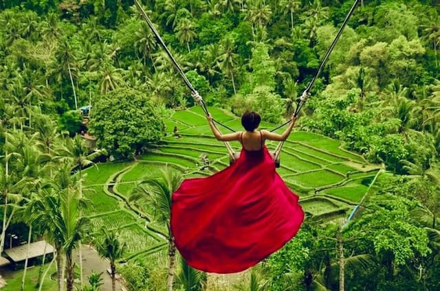Ubud: Monkey Forest, Jungle Swing, Rice Terrace and Water Temple
