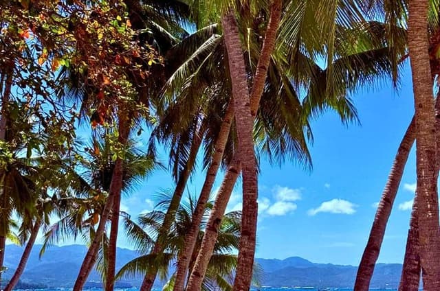 Soul of Boracay Hidden Beaches Filipino Feast And Heritage