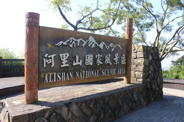 Taichung Alishan National Forest Full-Day Small Group Tour