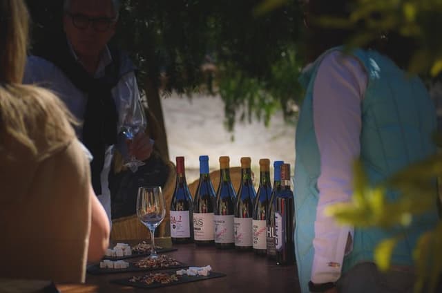 Alcohuaz Signature Wine Tasting