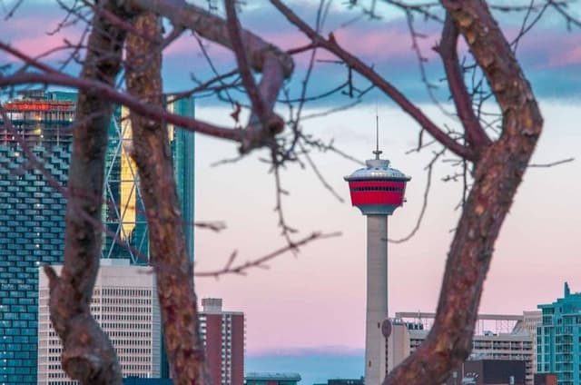 Calgary City Tour Full Day Sightseeing Experience