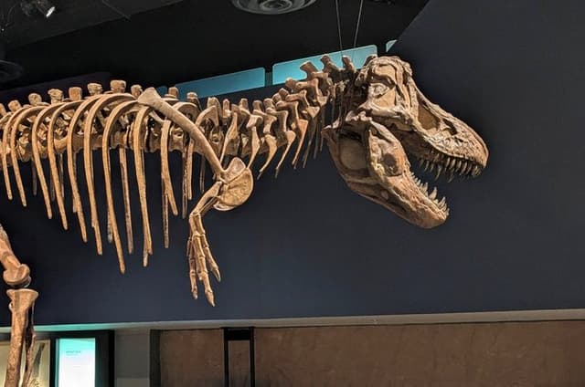 Badlands Guided Small Group Tour: Calgary to Drumheller Dinosaurs