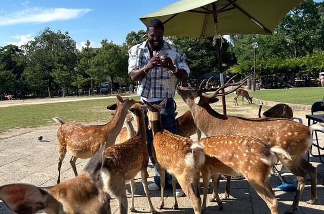 Kyoto and Nara Private Car Tour with a Local English Guide Driver