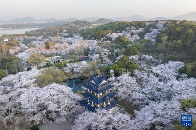 Wuxi Private Day Tour Classical Gardens Ancient Town