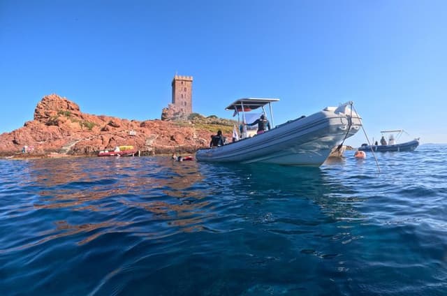 Snorkeling Excursion 2h00 Cap Dramont & Ile d'Or in Saint-Raphaël