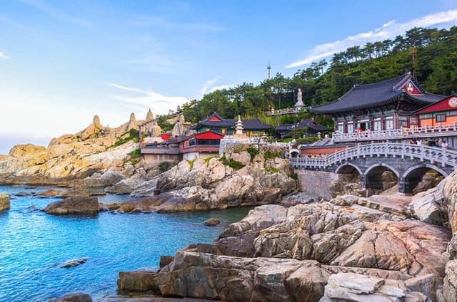 Authentic Busan Full-Day City Highlights Tour