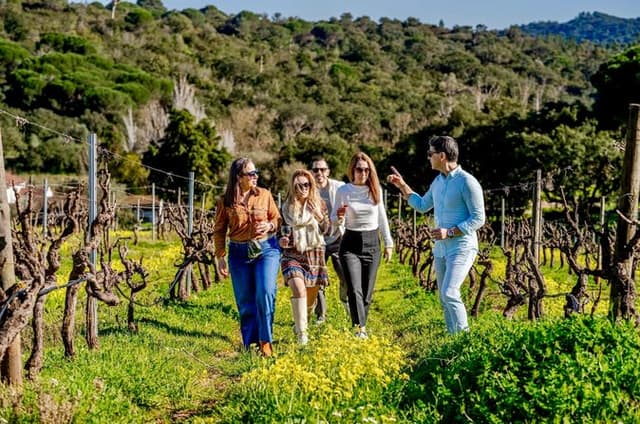 Private Full-Day Wine Tour from Lisbon with Tastings to Arrábida