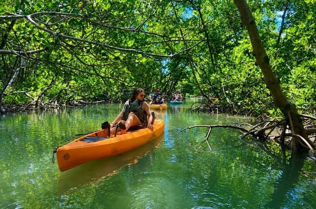 Easy Ride Pedal Kayak Tour Marco Island & Naples (Pedal or Paddle