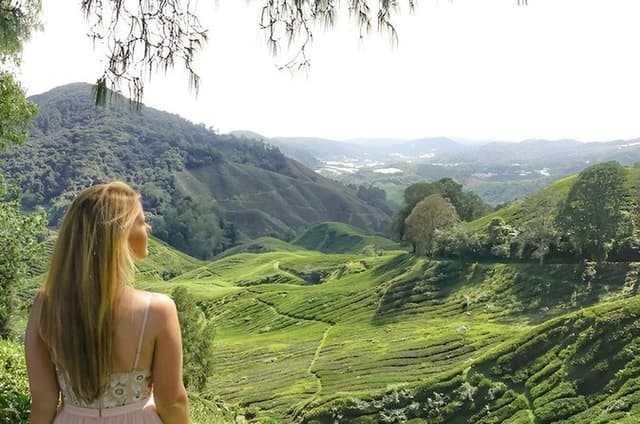 Cameron Highlands Mossy Forest Day Tour with Lunch