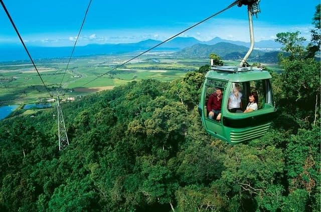 Cairns: Kuranda Skyrail, Army Duck & Koalas Small-Group Day Trip