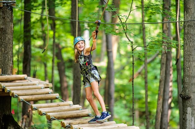 Discovery Kids Courses Treetop Trekking Barrie