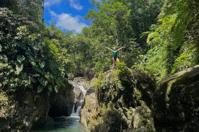 El Yunque Tour with Luquillo Lunch Stop and Transport: 6 ppl Max