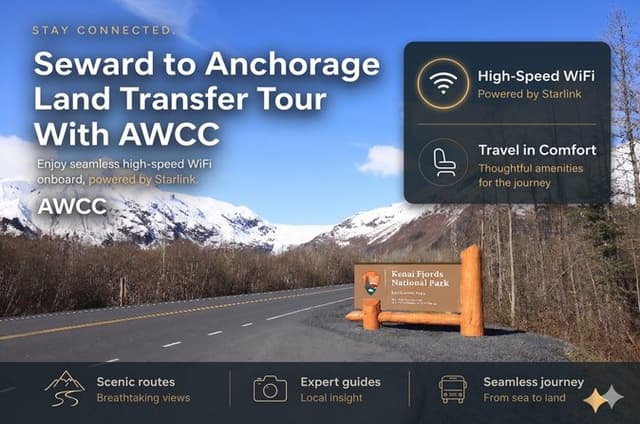 Seward to Anchorage Transfer with National Park & Wildlife Tour