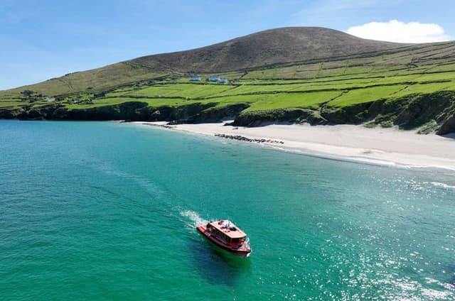 The Great Blasket Island Experience - Premium Tour
