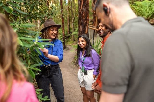 Walk with Wildlife: Guided Tour in Great Ocean Road