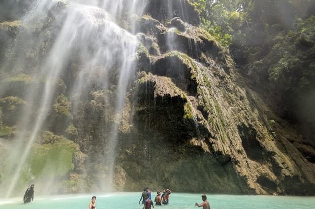 Oslob Whale Shark & Tumalog Waterfalls & Sumilon Sandbar