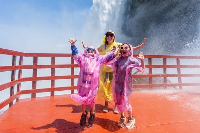 Best of Niagara Falls USA Tour with Cave & Maid of the Mist Boat