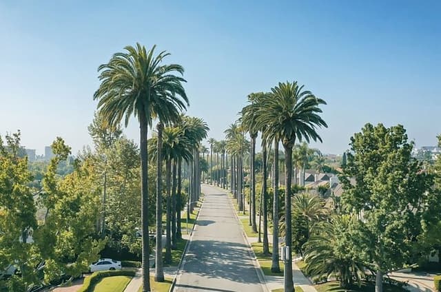 Hollywood and Celebrity Homes Open-Top Bus Tour