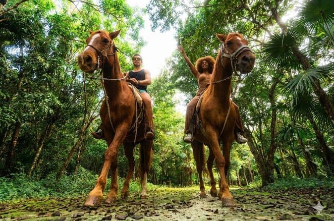 Best-Rated ATV Tours in Cancun Jungle & Coast