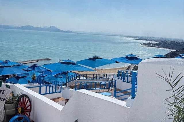Excursion VIP Tunis Medina Carthage Sidi BouSaid