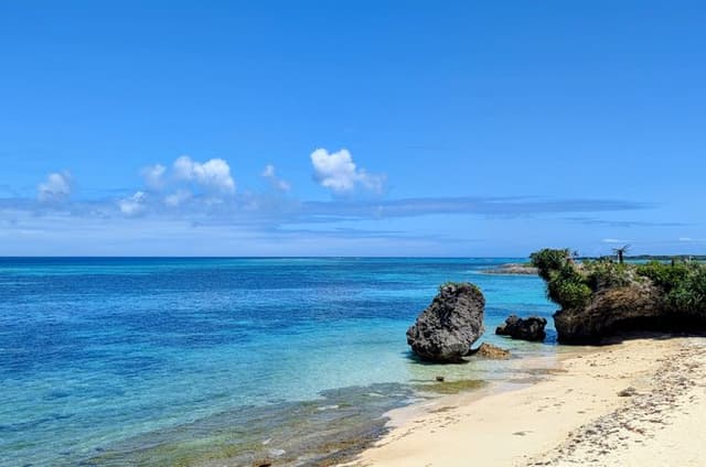 North Beaches Private tour with licensed interpreter guide/driver