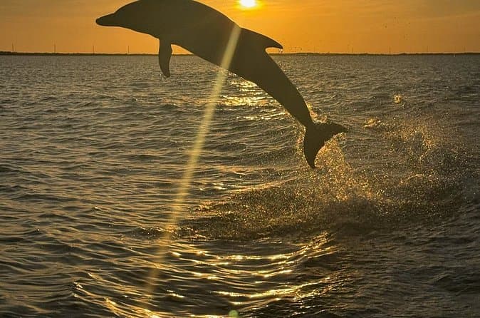 Top-Rated Key Largo Sunset Cruises & Sailing Tours