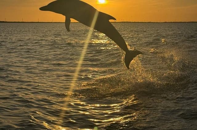 Key Largo Sunset Cruise