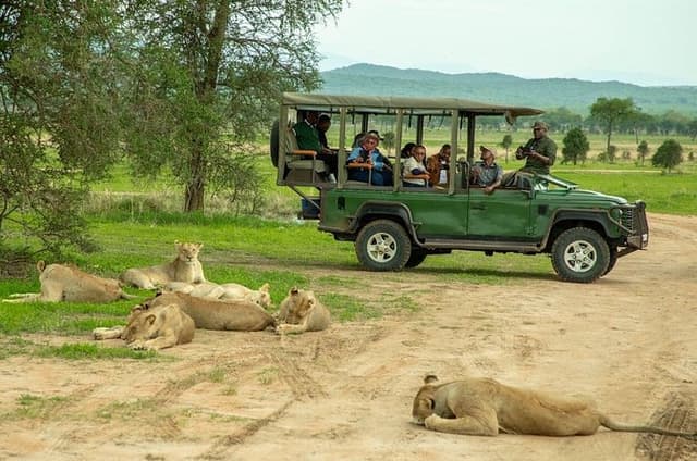 4 Day Tanzania Big Five Wildlife Safari Adventure