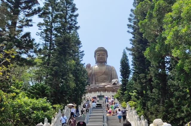 Lantau Tour | Private Permitted Vehicle & Local Driver-Guide