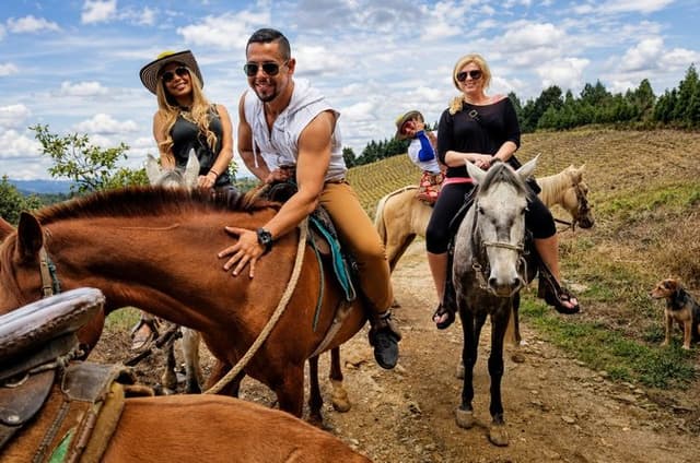Horseback Ride Around Medellín's Beautiful Countryside!