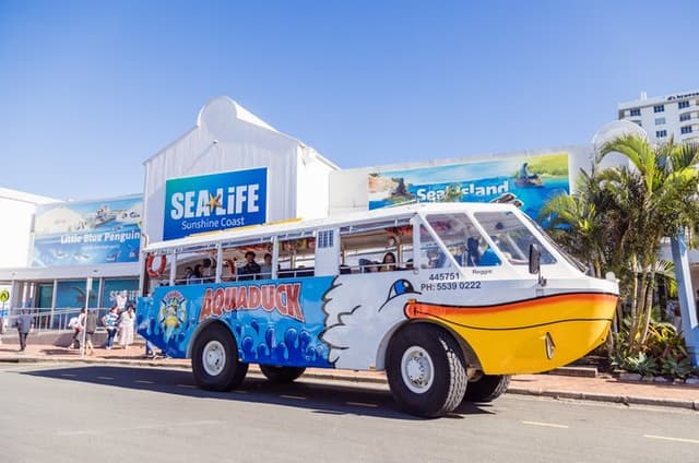 Aquaduck Sunshine Coast - 1hr Mooloolaba Amphibious Tour