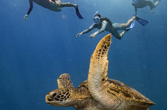 Tahiti Lagoon Snorkeling and Lunch Boat Tour (6 pax max)