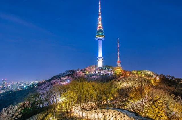 Seoul Private Night Tour: Palace, Hanok Street& N Seoul Tower