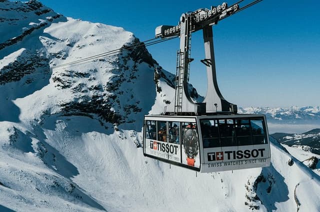 Glacier 3000 And Castle of Eagle Van private from Montreux