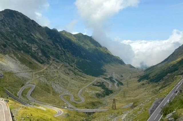 Transfagarasan Road Wild Bear Experience from Brasov