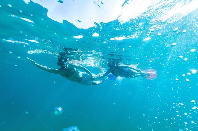Sydney Private Bondi Beach and Gordon’s Bay Snorkel Tour