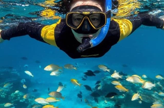 Swim with Dolphin and Snorkeling Adventure at Mnemba Island