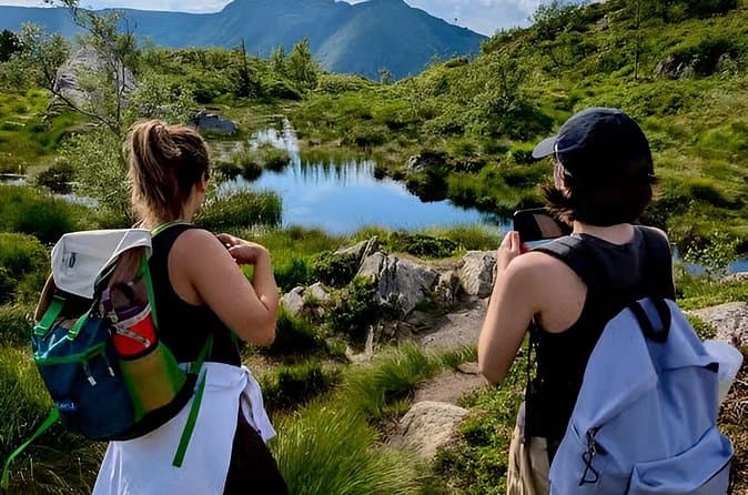 Compare Top Mt. Fløyen Hiking Tours in Bergen