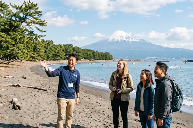 Shizuoka/Shimizu Mt Fuji View 6 hr Private Tour: Guide Only